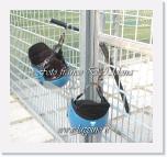 DSC_4580 Ariano Eclanese 4-1 * Foto:Franco D'Addona                stadio renzulli ariano irpino 17 marzo 2007 ariano eclanese 4-1 * 533 x 500 * (107KB)